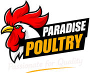 footer-logo-pp