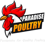 pp-logo2